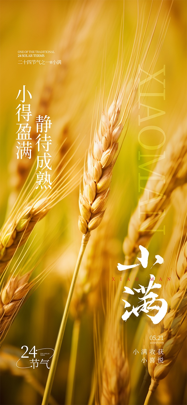 二十四节气之小满节气摄影图广告