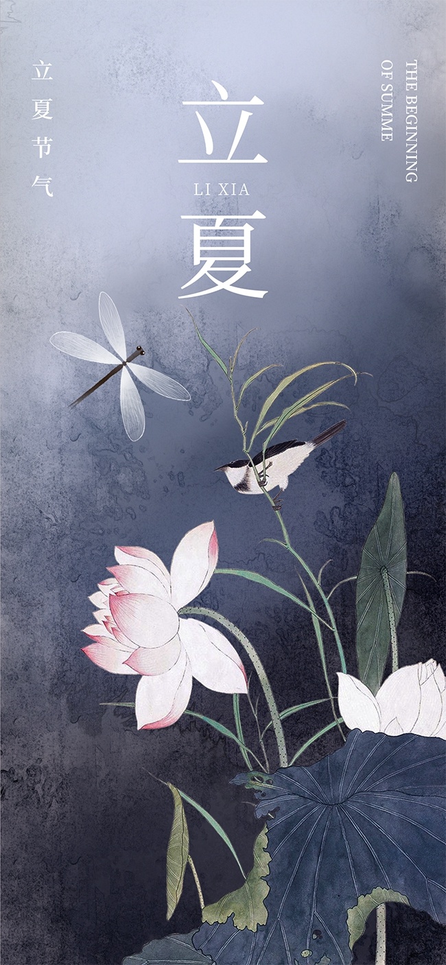 唯美禅意中国风立夏节气广告