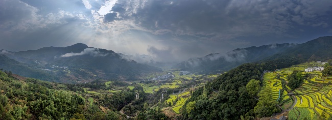宽幅云雾缭绕的梯田风光风景摄影