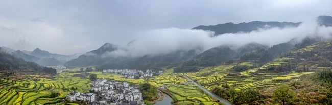 宽幅云雾缭绕的油菜花梯田人家