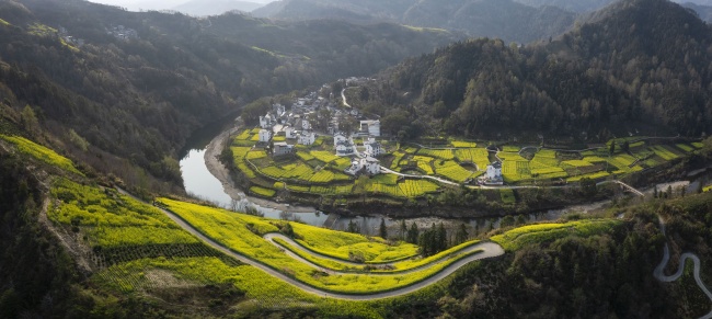 山水油菜花海间的皖南村落春天风景图片