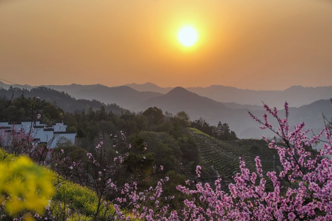 日出山间桃花烂漫春天风景图片