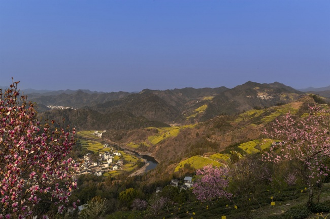 春日山村的田园牧歌风景图片素材