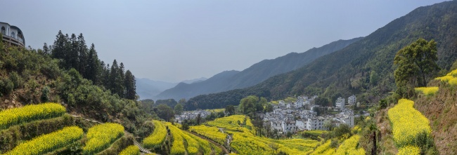 宽幅梯田油菜花海间的村庄图片素材下载