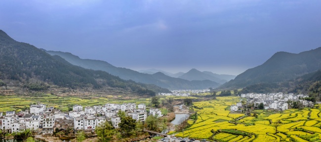春日徽州油菜花田园风光春天风景