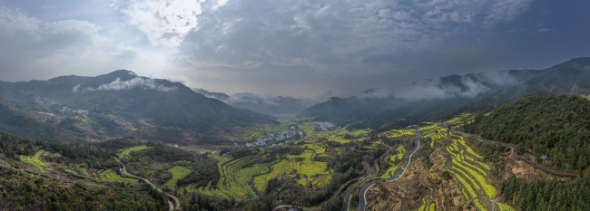 宽幅梯田油菜花海田园风光图片下载