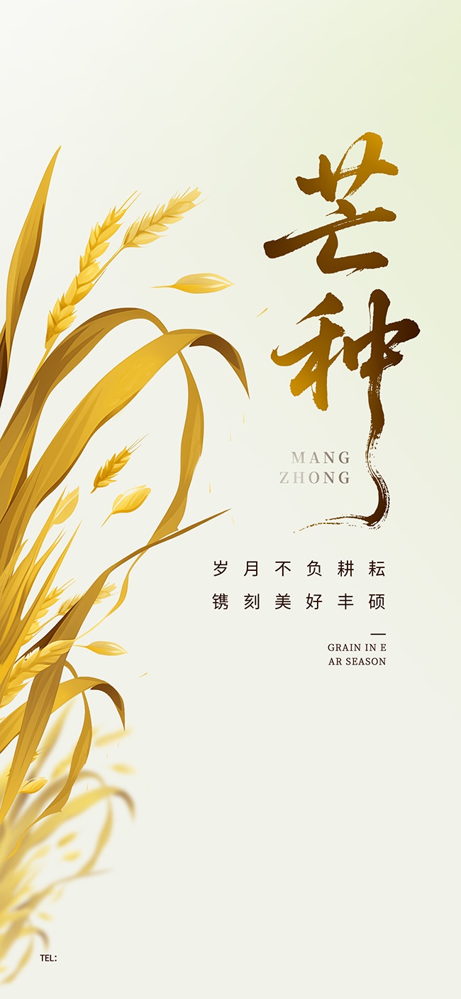 芒种节气宣传海报图片素材