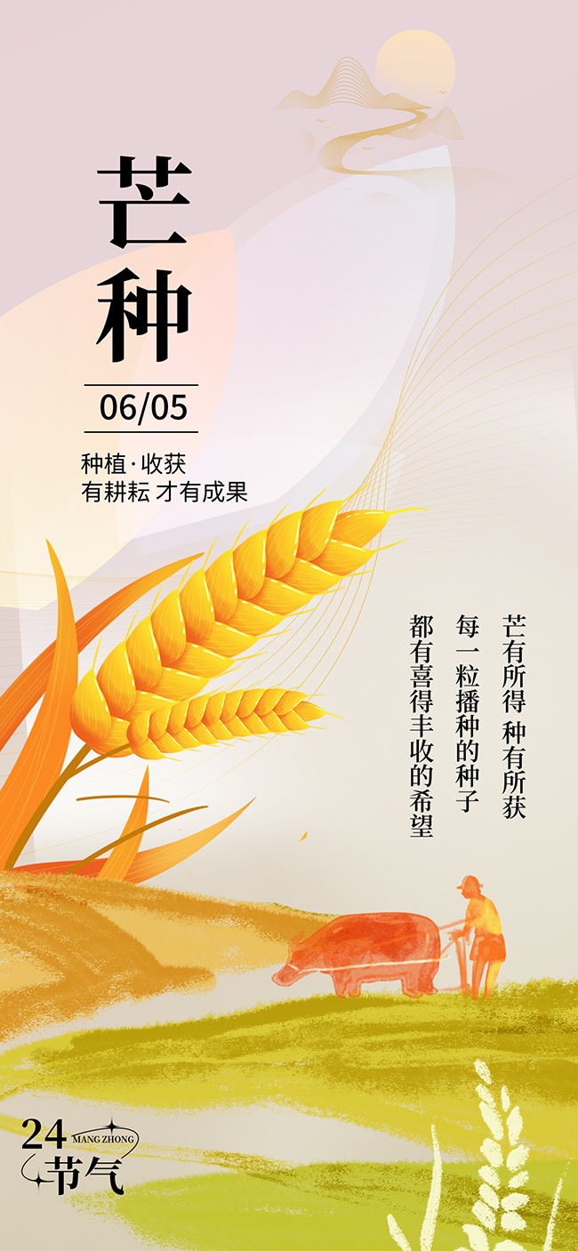 有耕耘才有结果唯美插画芒种宣传海报