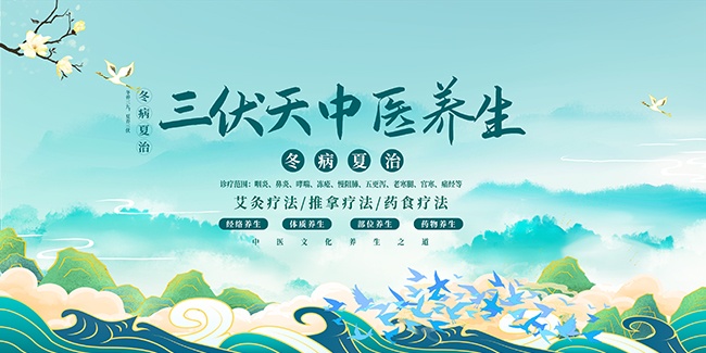 三伏天中医养生海报图片素材
