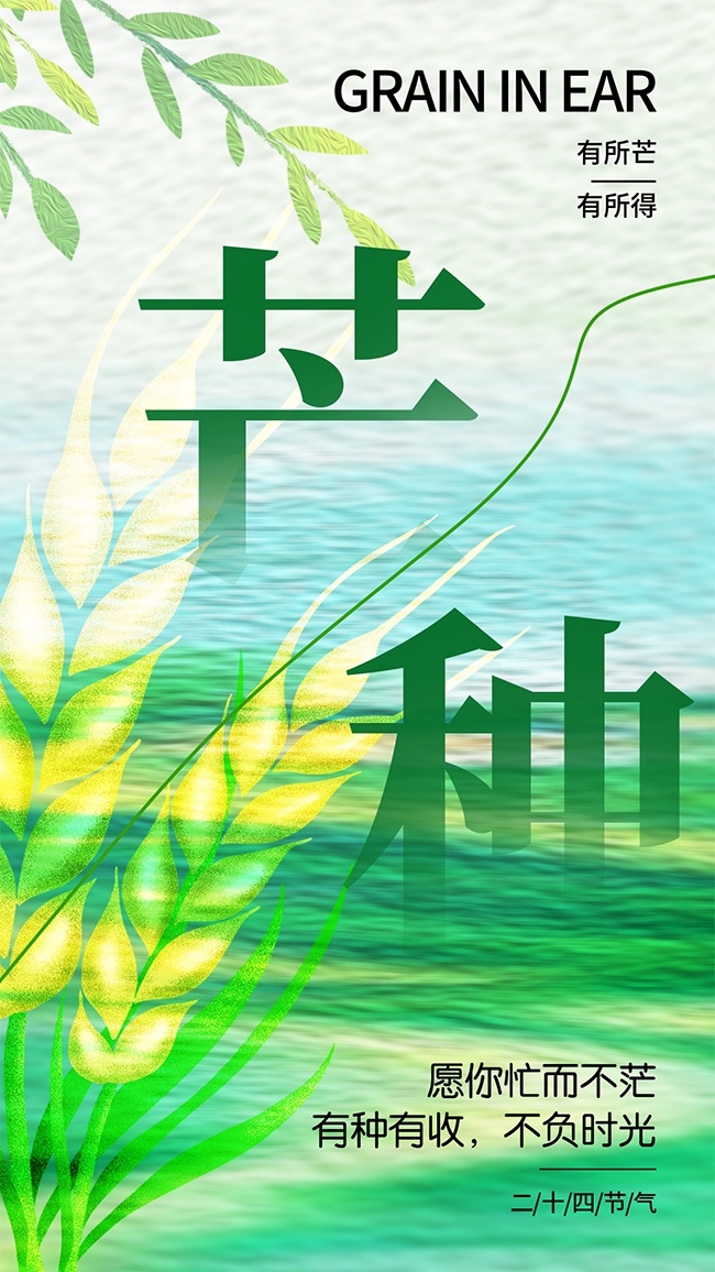绿色中国传统节气芒种海报