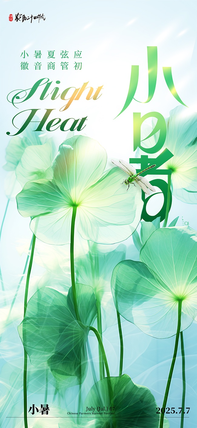 简约质感荷叶夏季二十四节气小暑海报