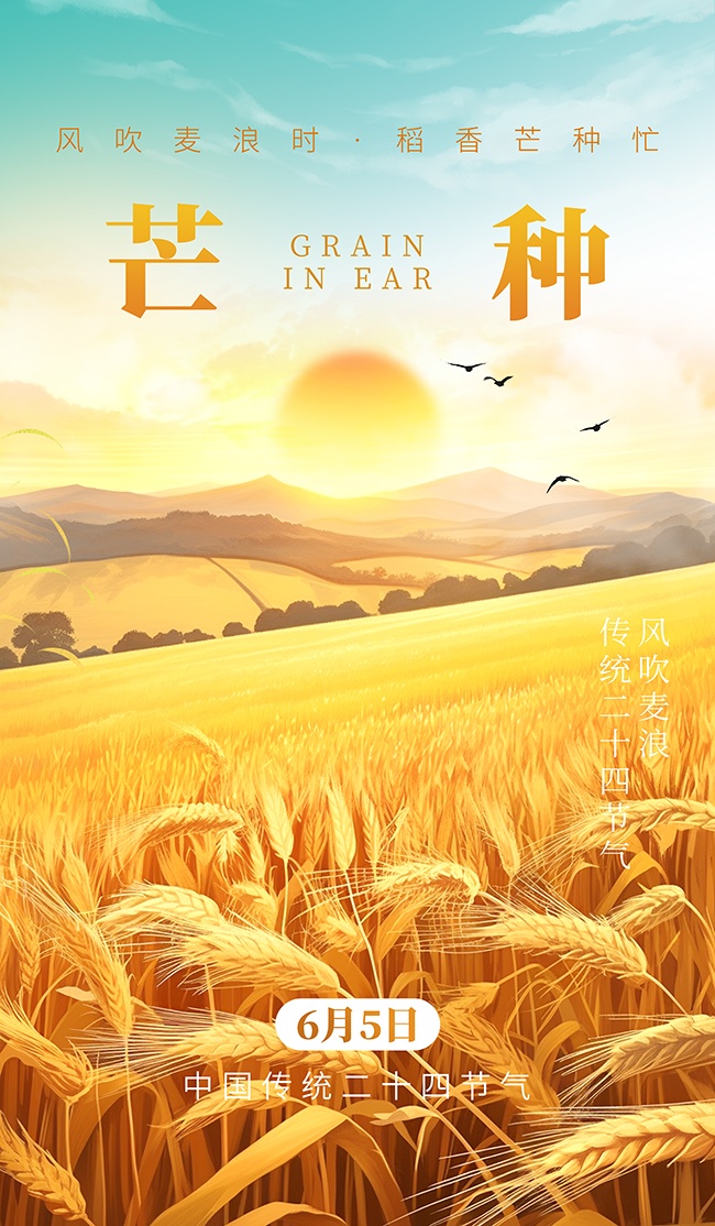 风吹麦浪芒种节气海报图片素材