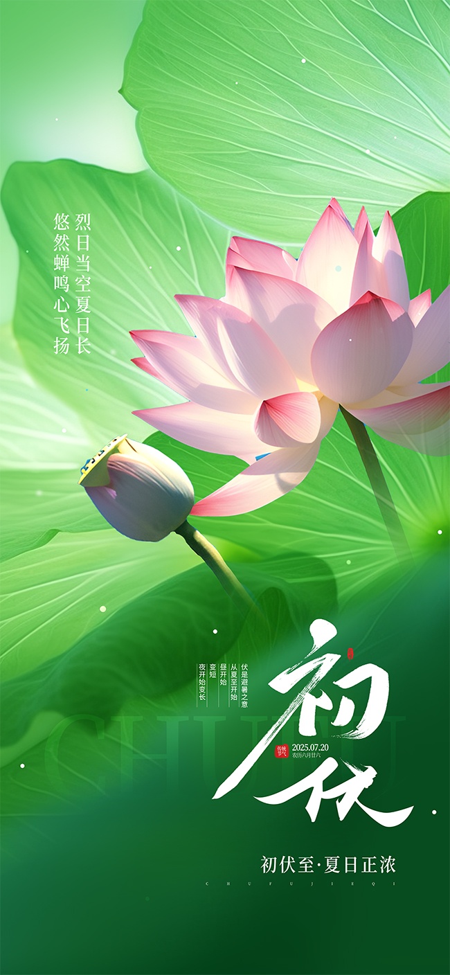 夏季三伏天初伏广告