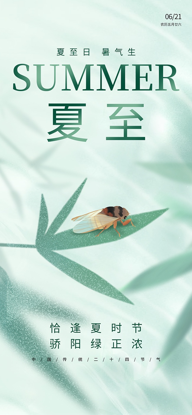 夏至节气宣传图片素材