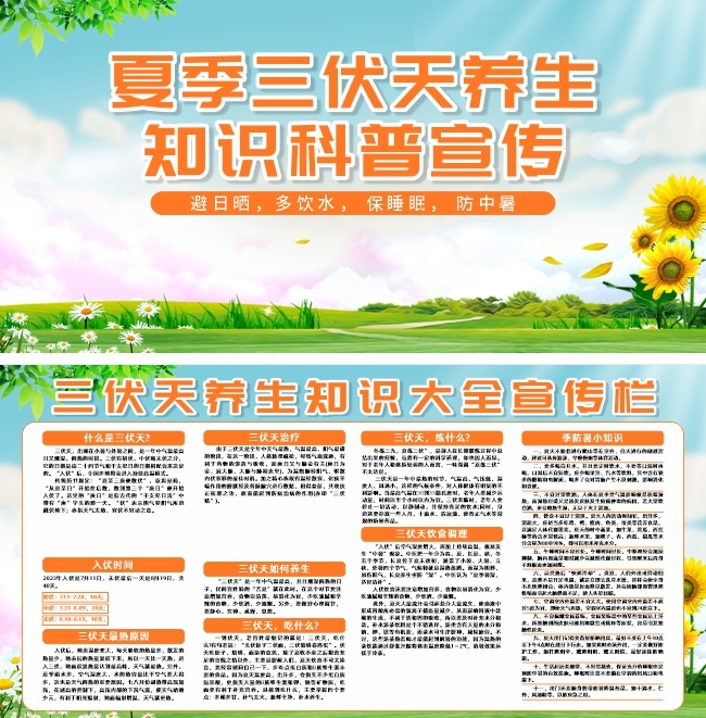 夏季三伏天养生知识科普展板