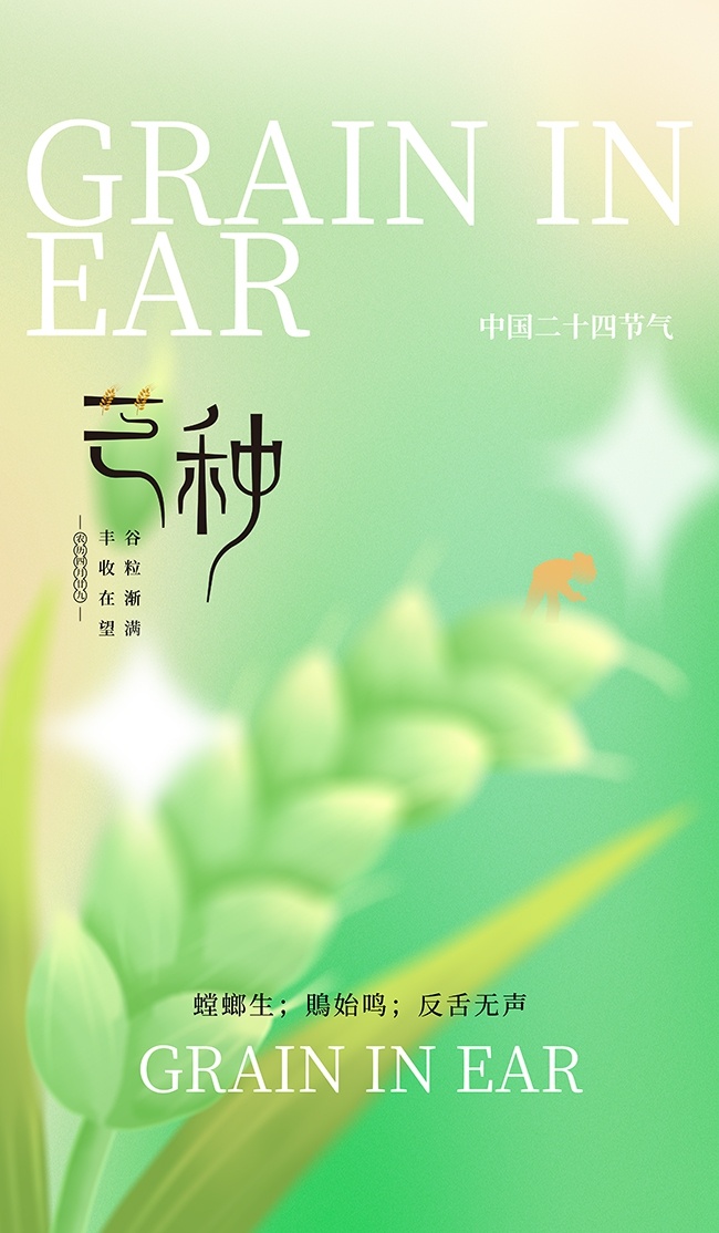 清新绿色芒种节气海报图片素材