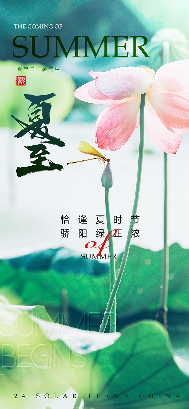 夏至节气图片夏至