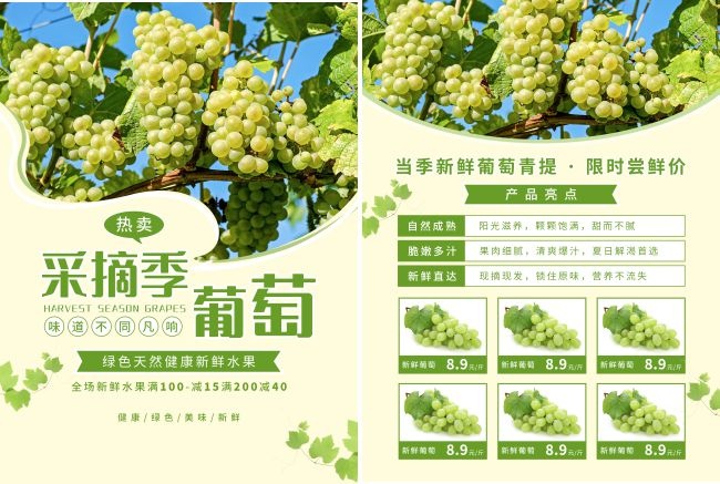 新鲜葡萄新鲜水果宣传单