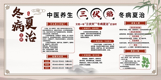 夏季养生健康三伏贴宣传知识科普展板