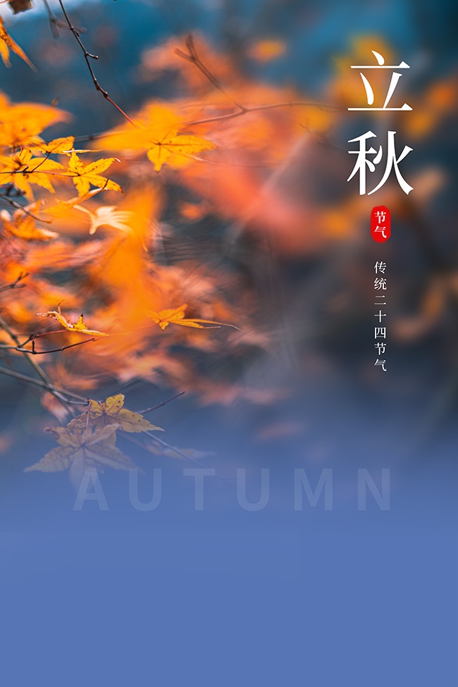 立秋节气海报图片素材