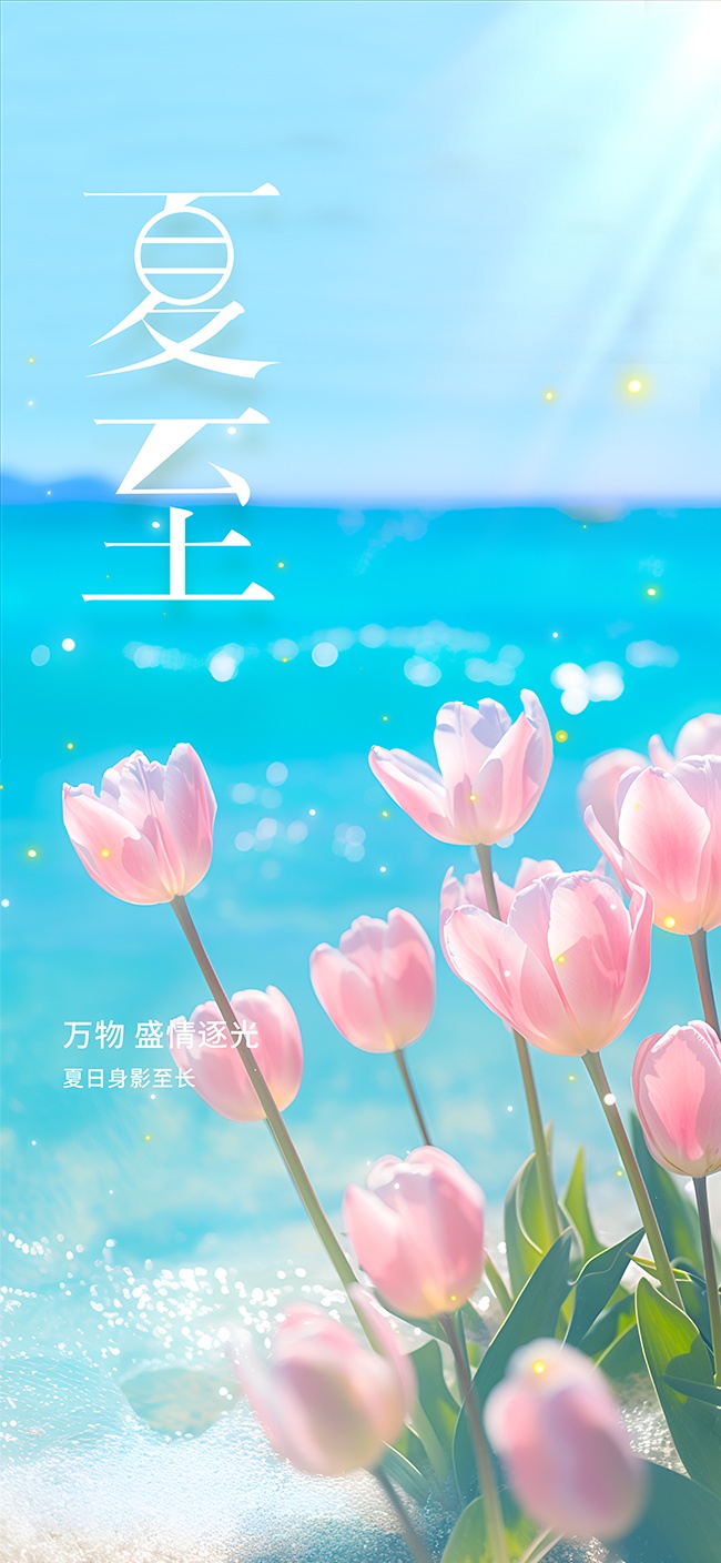 夏至节气海报
