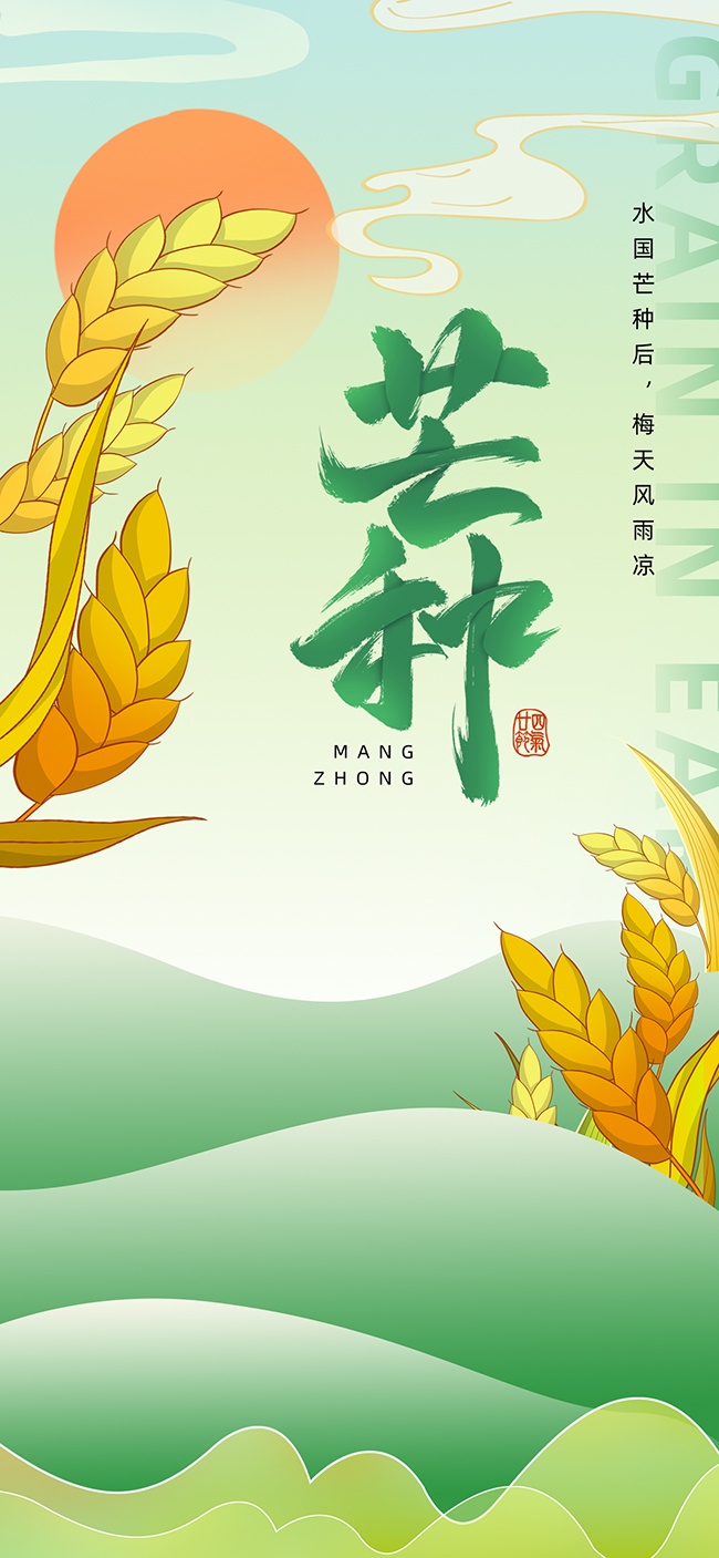 手绘芒种节气海报模板