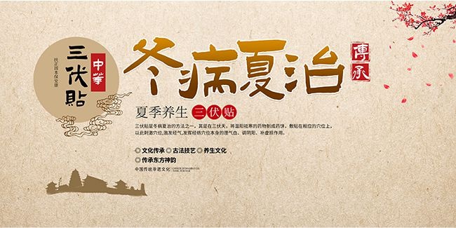 中国风冬病夏治三伏贴宣传栏
