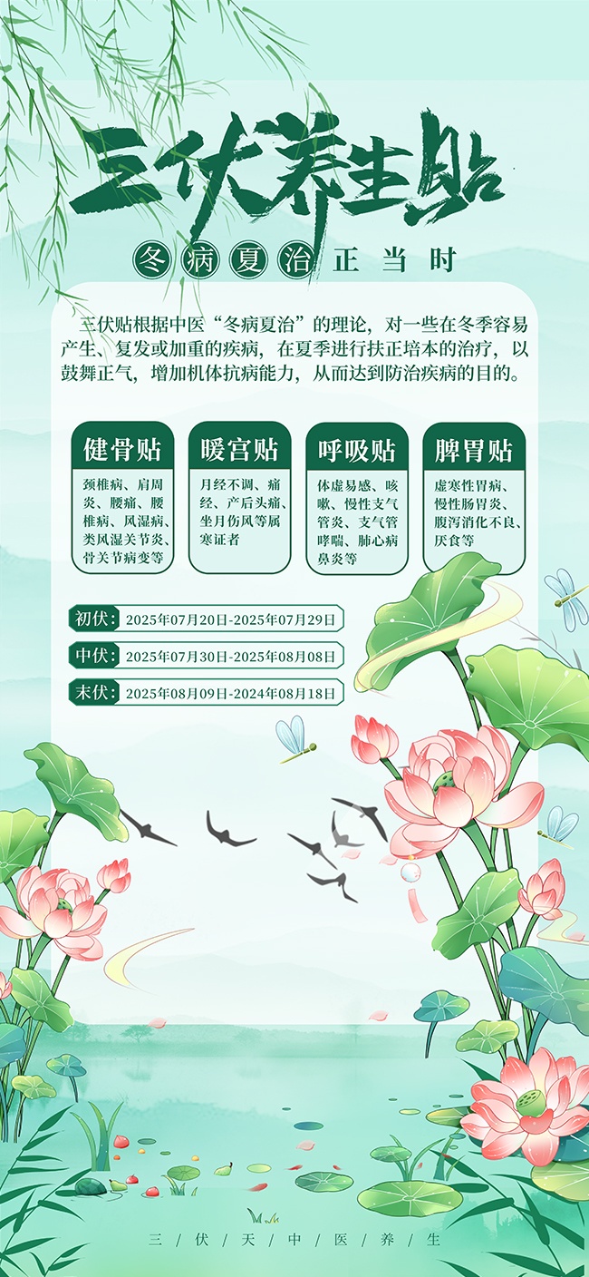 中医养生指南三伏贴海报
