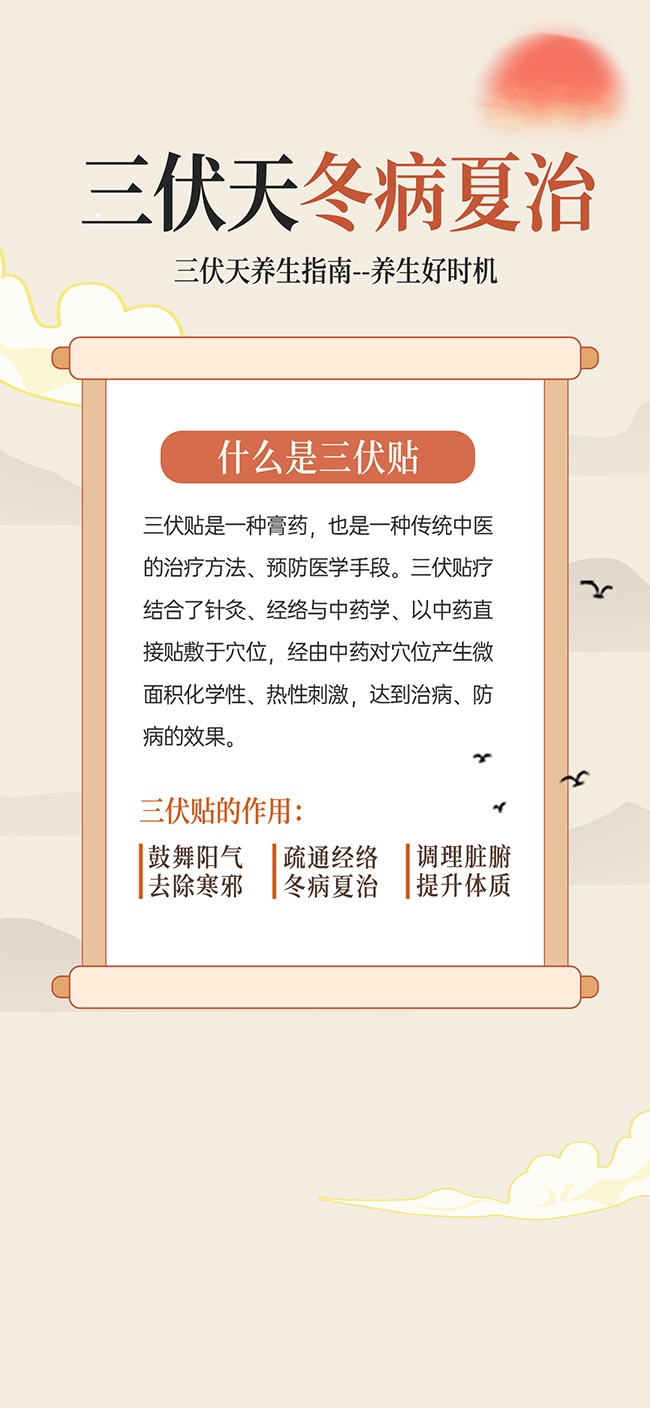 夏季三伏贴中医养生海报