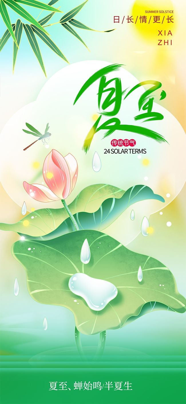 夏至唯美荷花广告