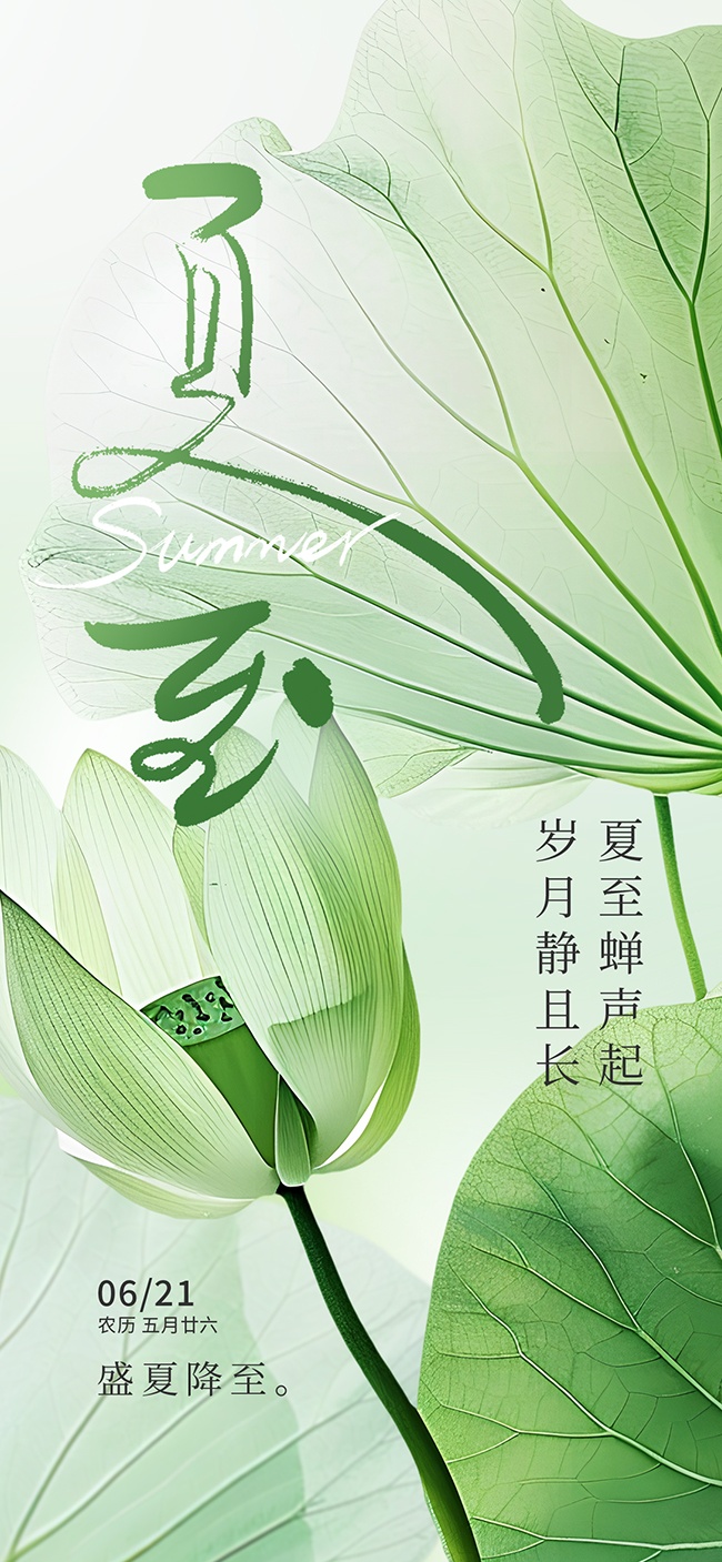 小清新夏至节气海报