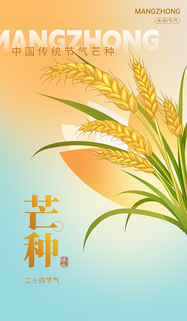 文艺清新芒种节气广告