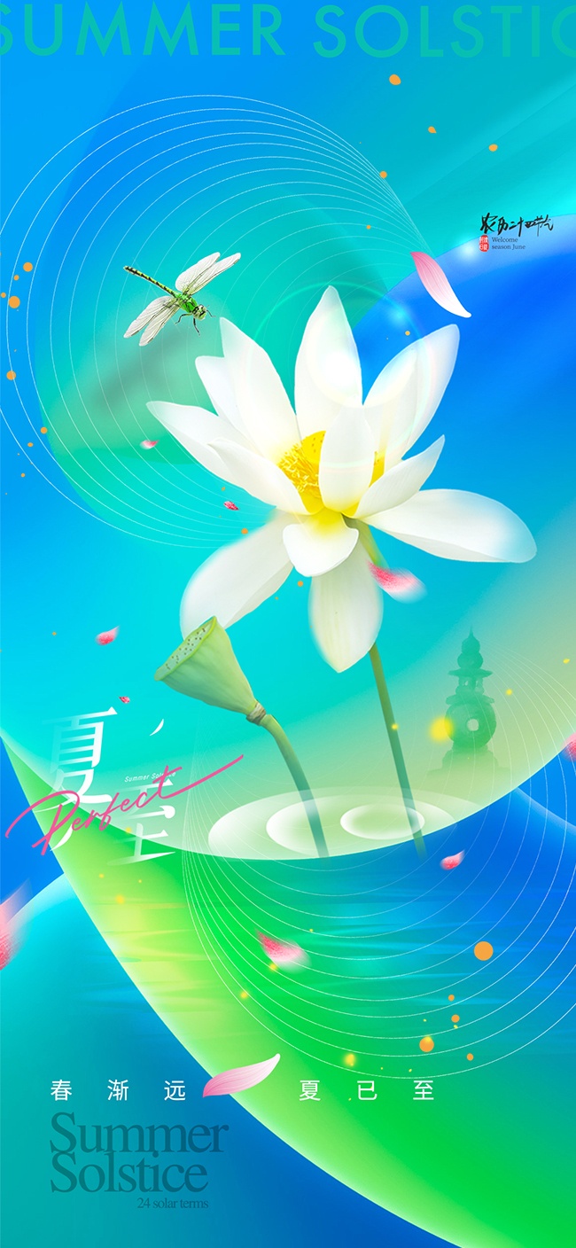 夏至节气海报图片素材