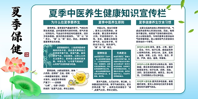 清爽夏季中医养生健康知识展板