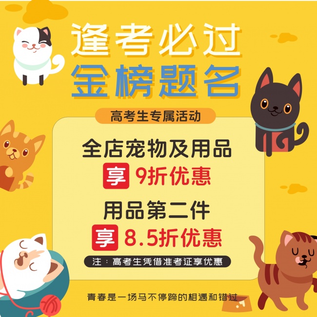 宠物店促销海报素材