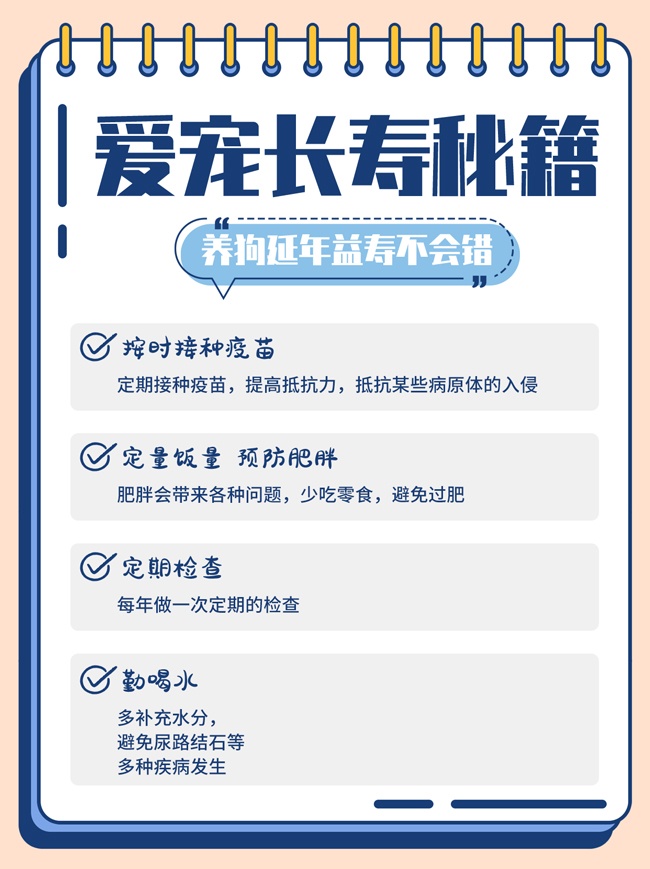 宠物长寿秘籍海报