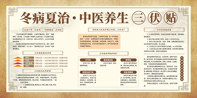 冬病夏治中医养生三伏贴展板