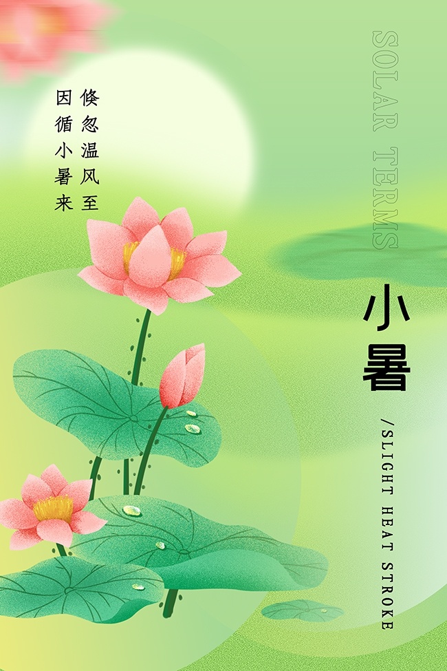 中式荷韵意境小暑节气宣传海报