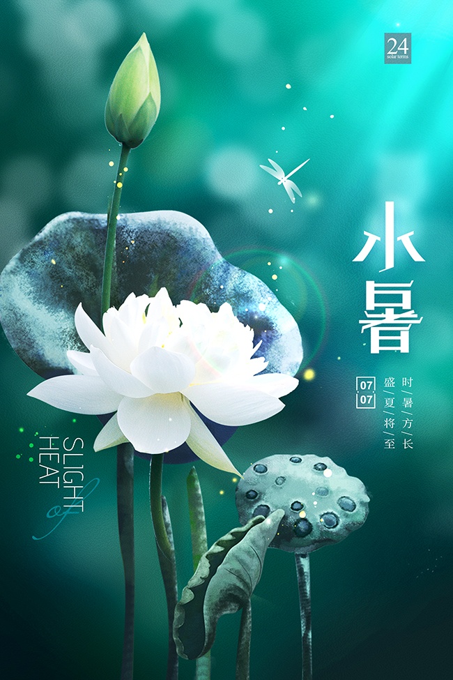 淡雅清新绿色二十四节气小暑海报