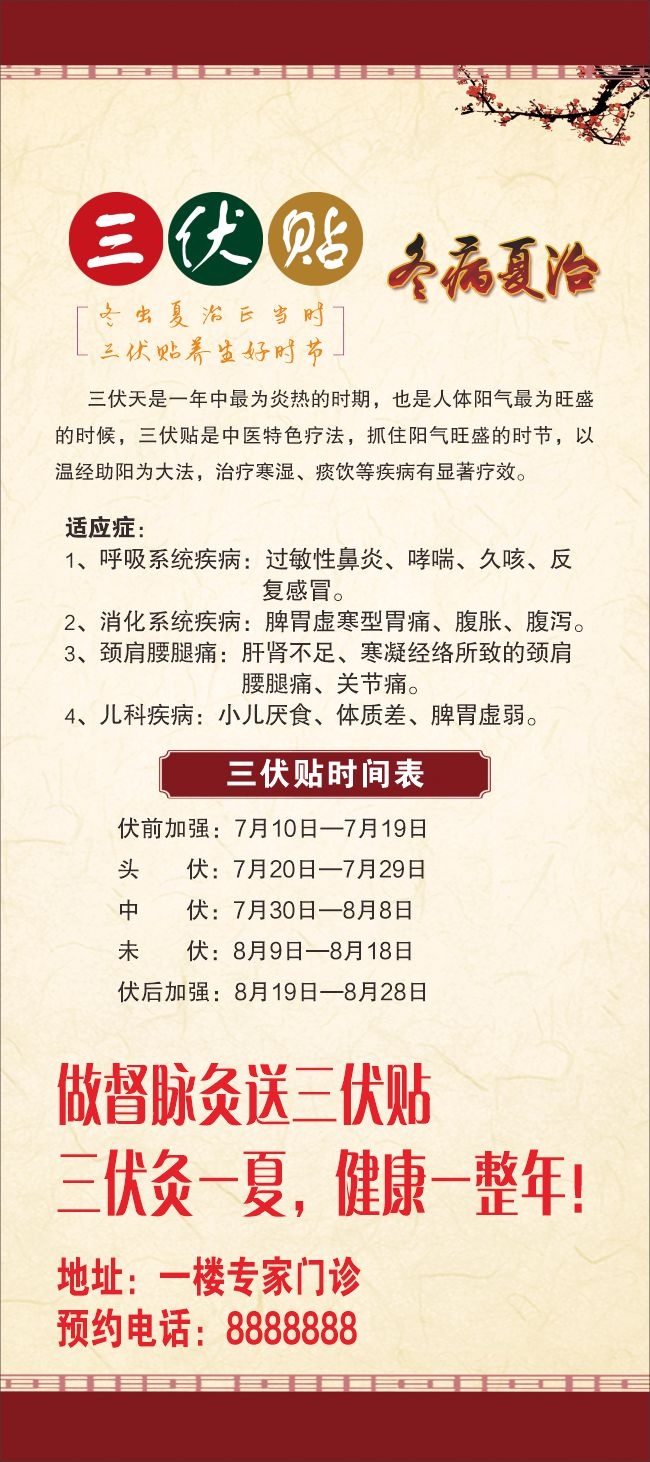 三伏贴冬病夏治中医养生图片素材