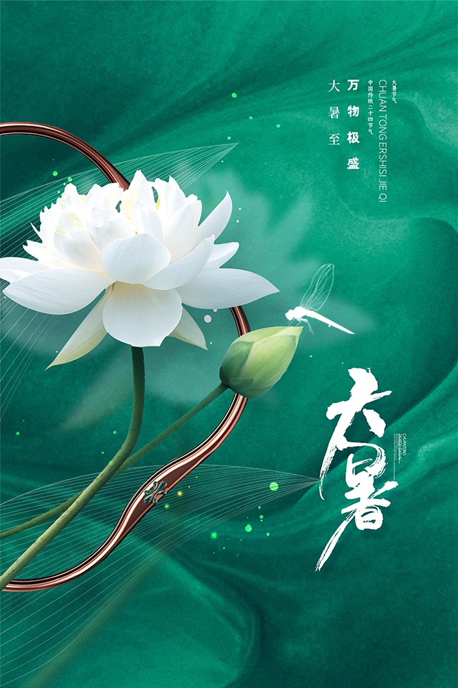 万物极盛简约传统大暑节气广告