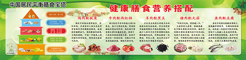 中国居民平衡健康膳食展板图片素材