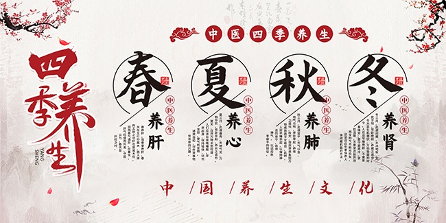 中国风四季养生中医养生健康文化宣传栏