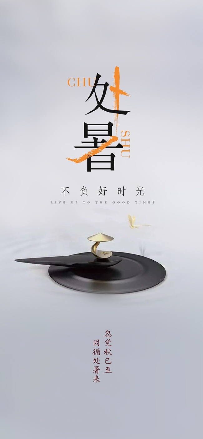 不负好时光传统处暑节气广告