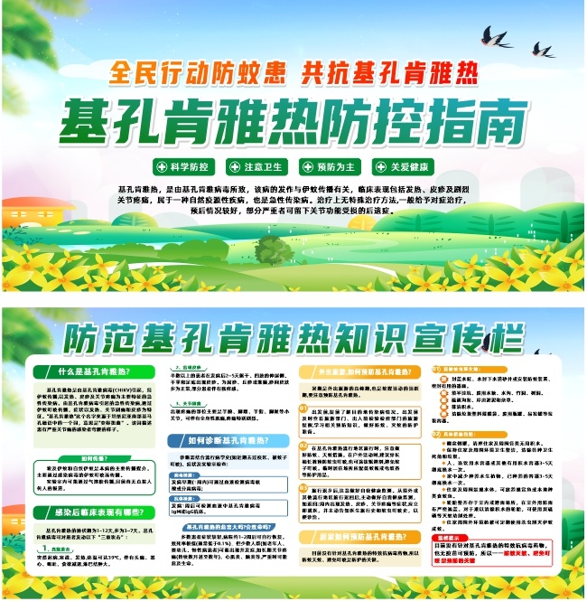 基孔肯雅热知识宣传展板