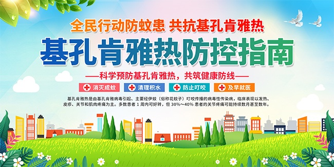 基孔肯雅热防控指南展板