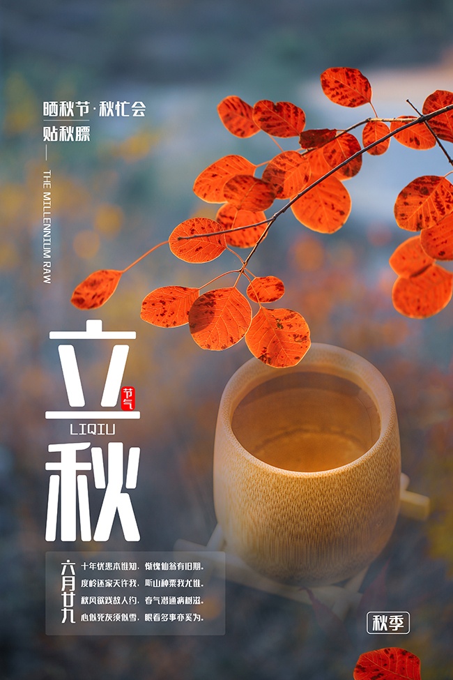 唯美萧瑟立秋节气海报