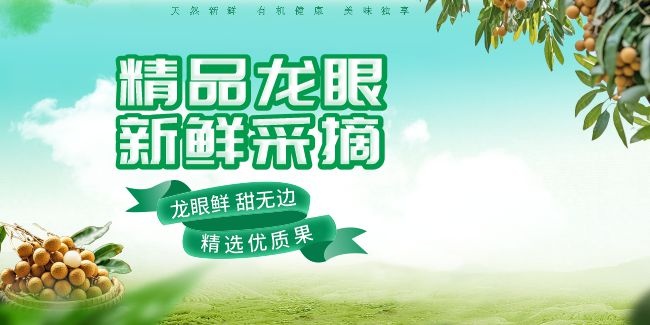 龙眼海报图片素材下载