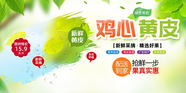 黄皮果水果宣传海报图片素材