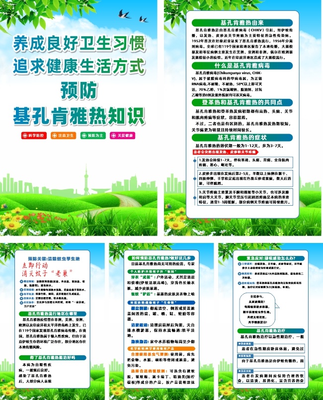基孔肯雅热知识科普宣传挂图图片